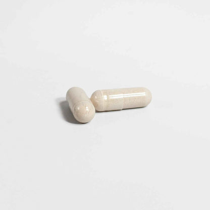 PRIME MODE - MYONIQ NUTRITION